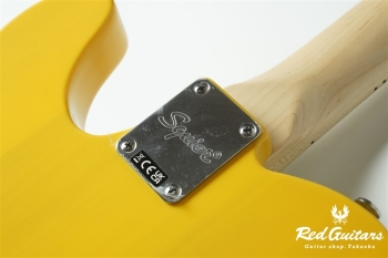 AFFINITY SERIES TELECASTER - BSB